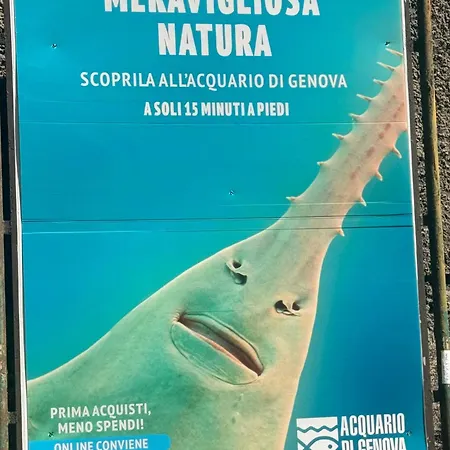 Casa Nina Carignano Appartamento *